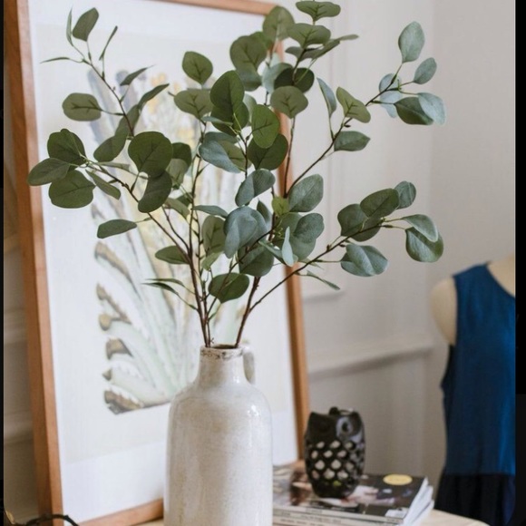 🌱RESTOCKED🌱Real Silver Dollar Eucalyptus-Dried - Picture 6 of 10